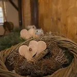 Apartamento Baumgartner - Weißkirchen in Steiermark