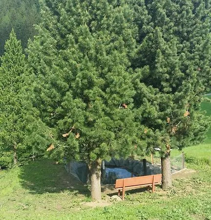 Baumgartner - Weißkirchen in Steiermark