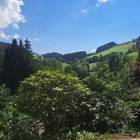 Baumgartner - * Weißkirchen in Steiermark