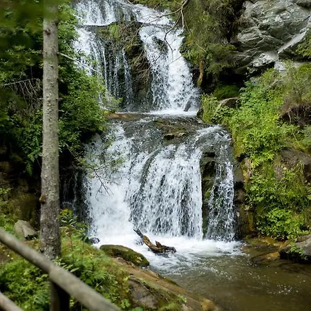 דירה Baumgartner - *