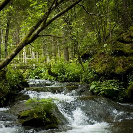 Baumgartner - דירה Weißkirchen in Steiermark