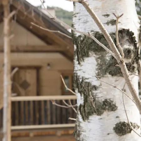 Baumgartner - * Weißkirchen in Steiermark