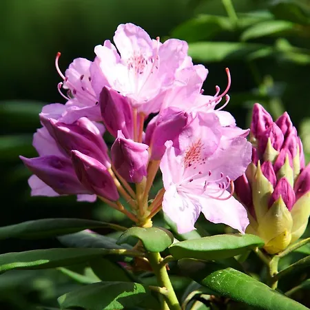 Baumgartner - Weißkirchen in Steiermark