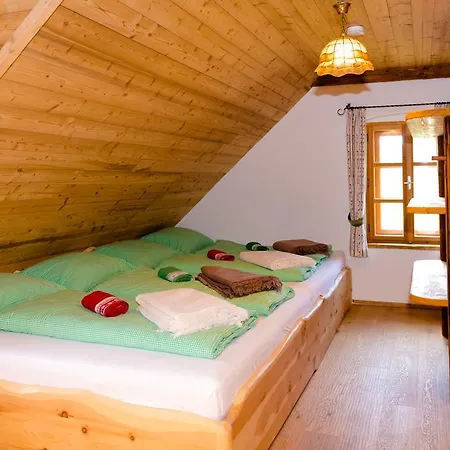 Apartment Baumgartner - *